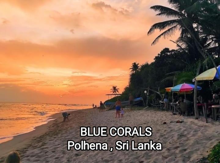 Blue Corals Beach Bungalow Matara Exterior photo