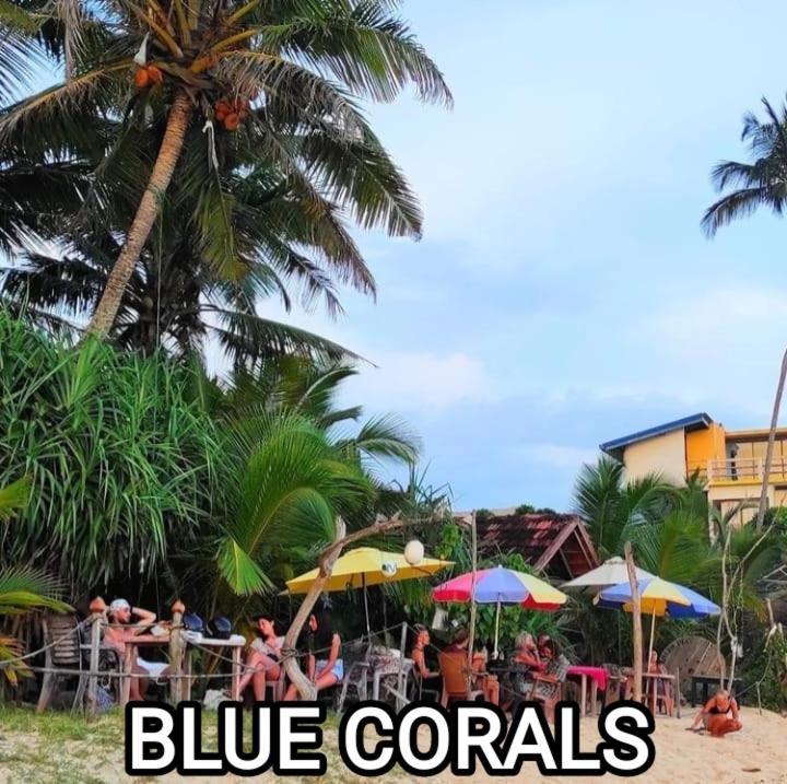 Blue Corals Beach Bungalow Matara Exterior photo