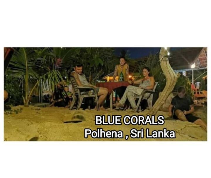 Blue Corals Beach Bungalow Matara Exterior photo