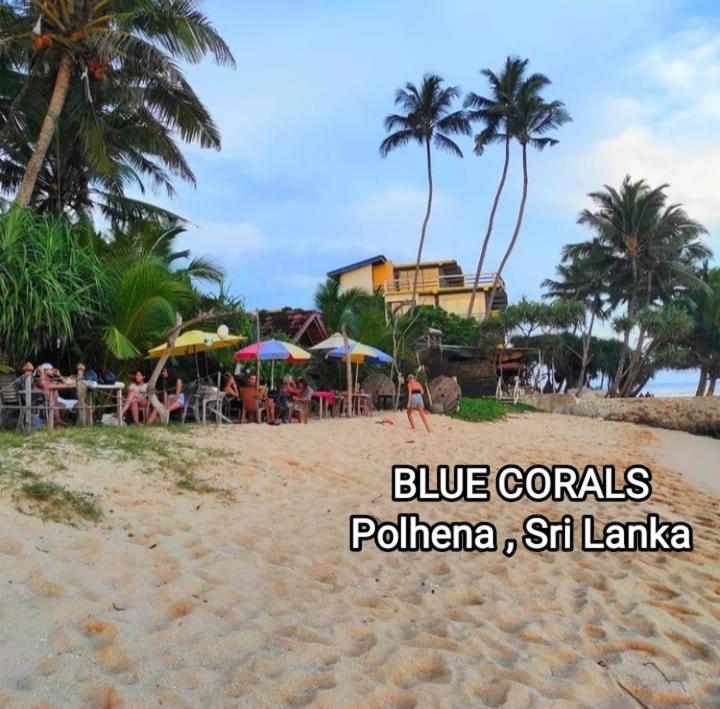 Blue Corals Beach Bungalow Matara Exterior photo