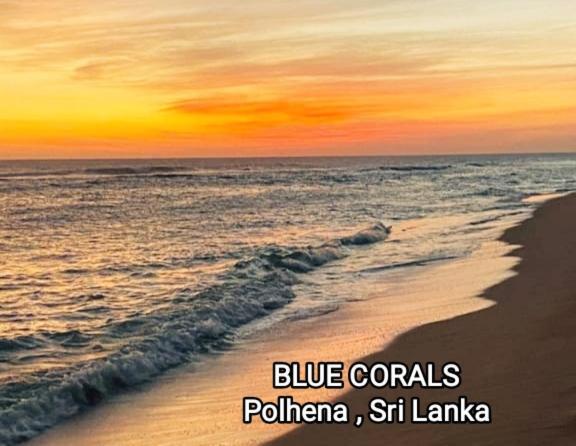 Blue Corals Beach Bungalow Matara Exterior photo
