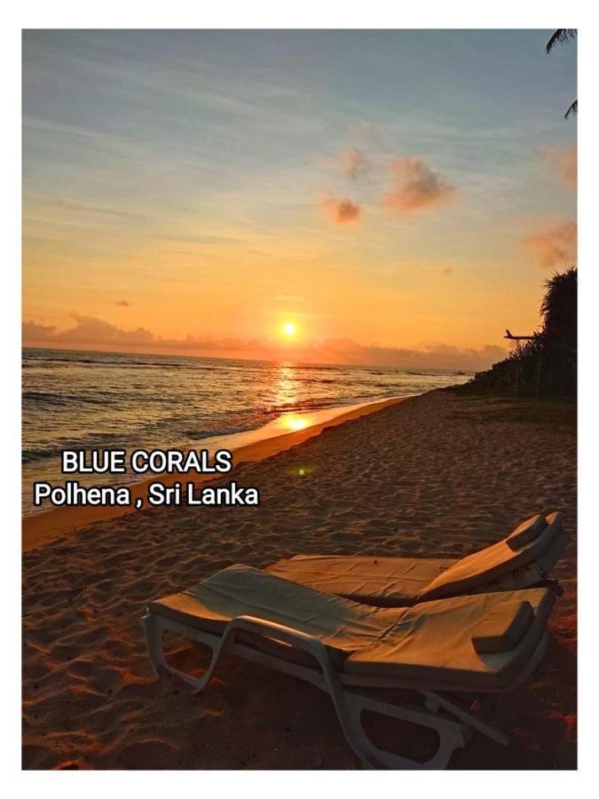 Blue Corals Beach Bungalow Matara Exterior photo
