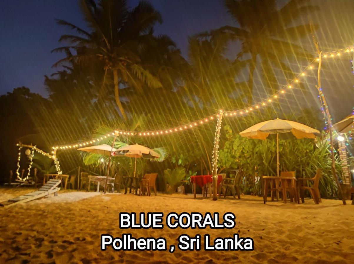 Blue Corals Beach Bungalow Matara Exterior photo