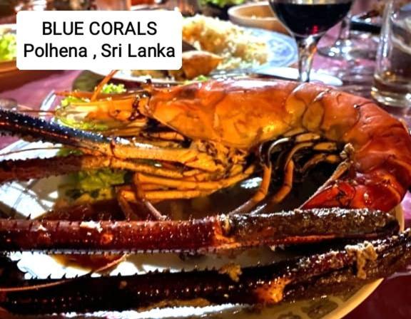 Blue Corals Beach Bungalow Matara Exterior photo