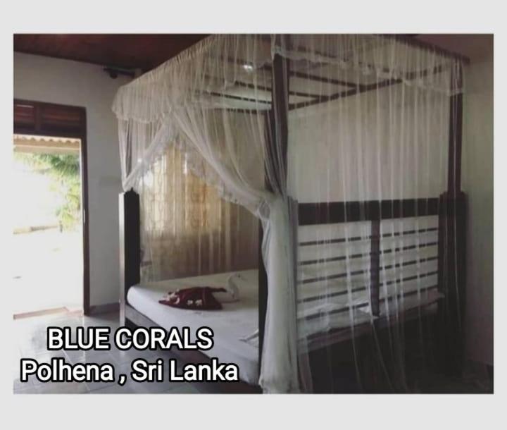 Blue Corals Beach Bungalow Matara Exterior photo
