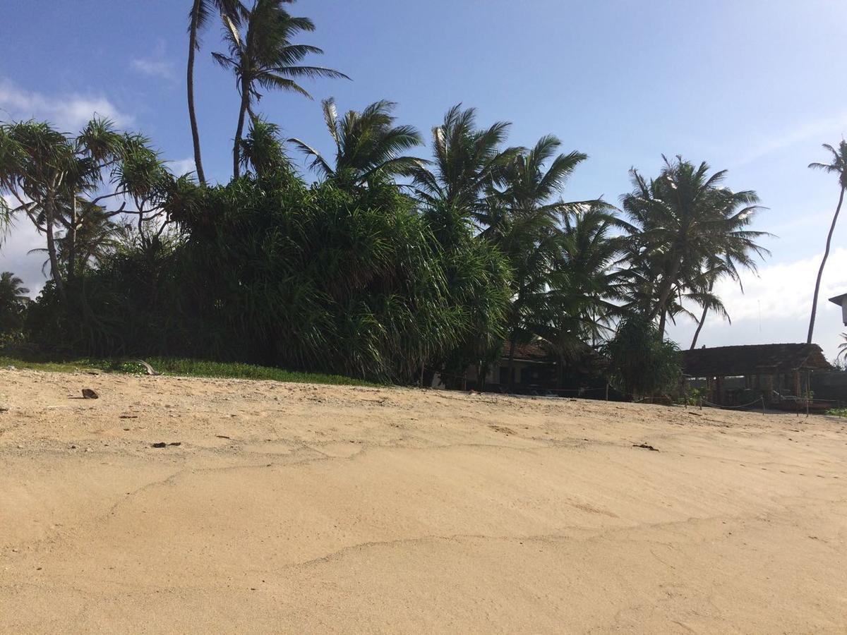 Blue Corals Beach Bungalow Matara Exterior photo